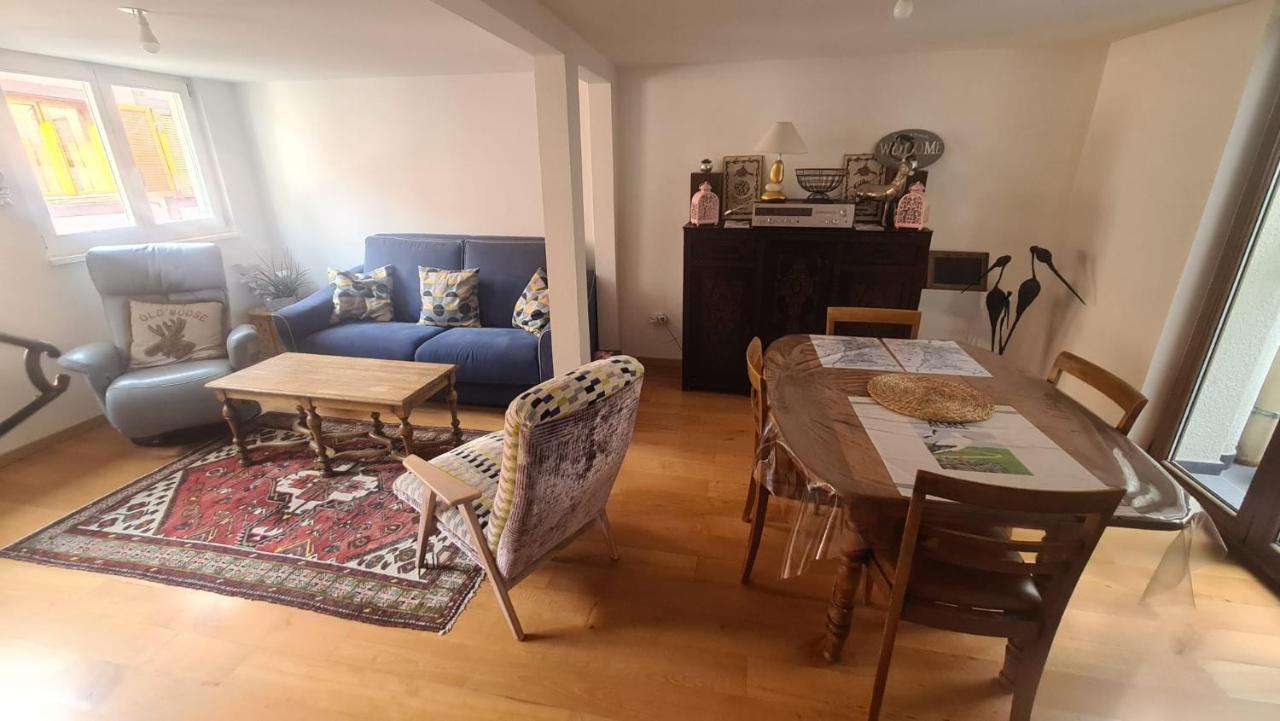 Apartament Le Bonheur Est Parfois Cache Dans L'Inconnu Sélestat Zewnętrze zdjęcie