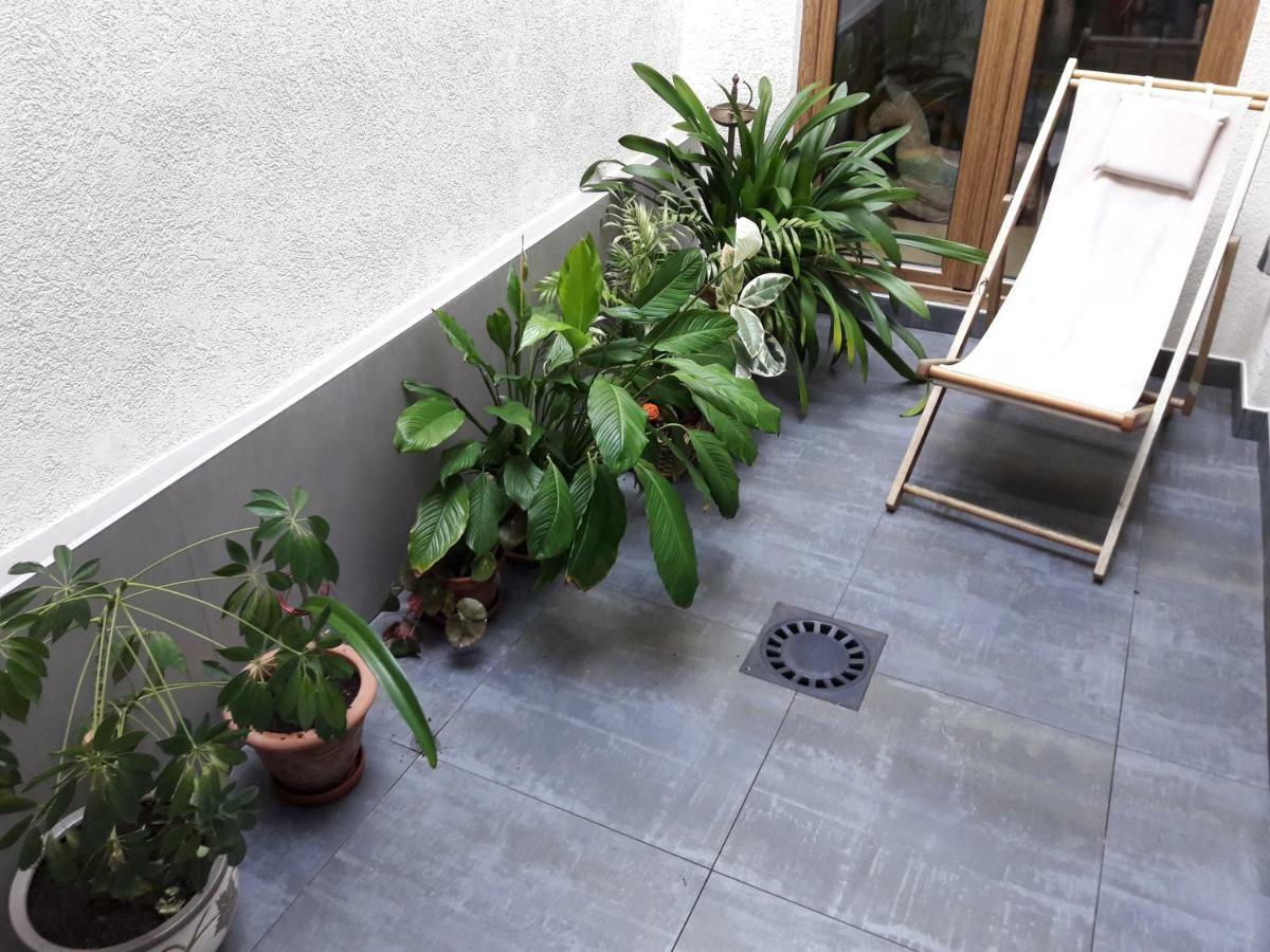 Apartament Le Bonheur Est Parfois Cache Dans L'Inconnu Sélestat Zewnętrze zdjęcie