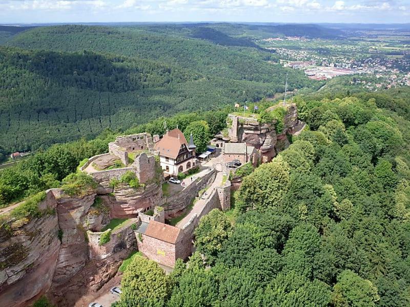 Apartament Le Bonheur Est Parfois Cache Dans L'Inconnu Sélestat Zewnętrze zdjęcie